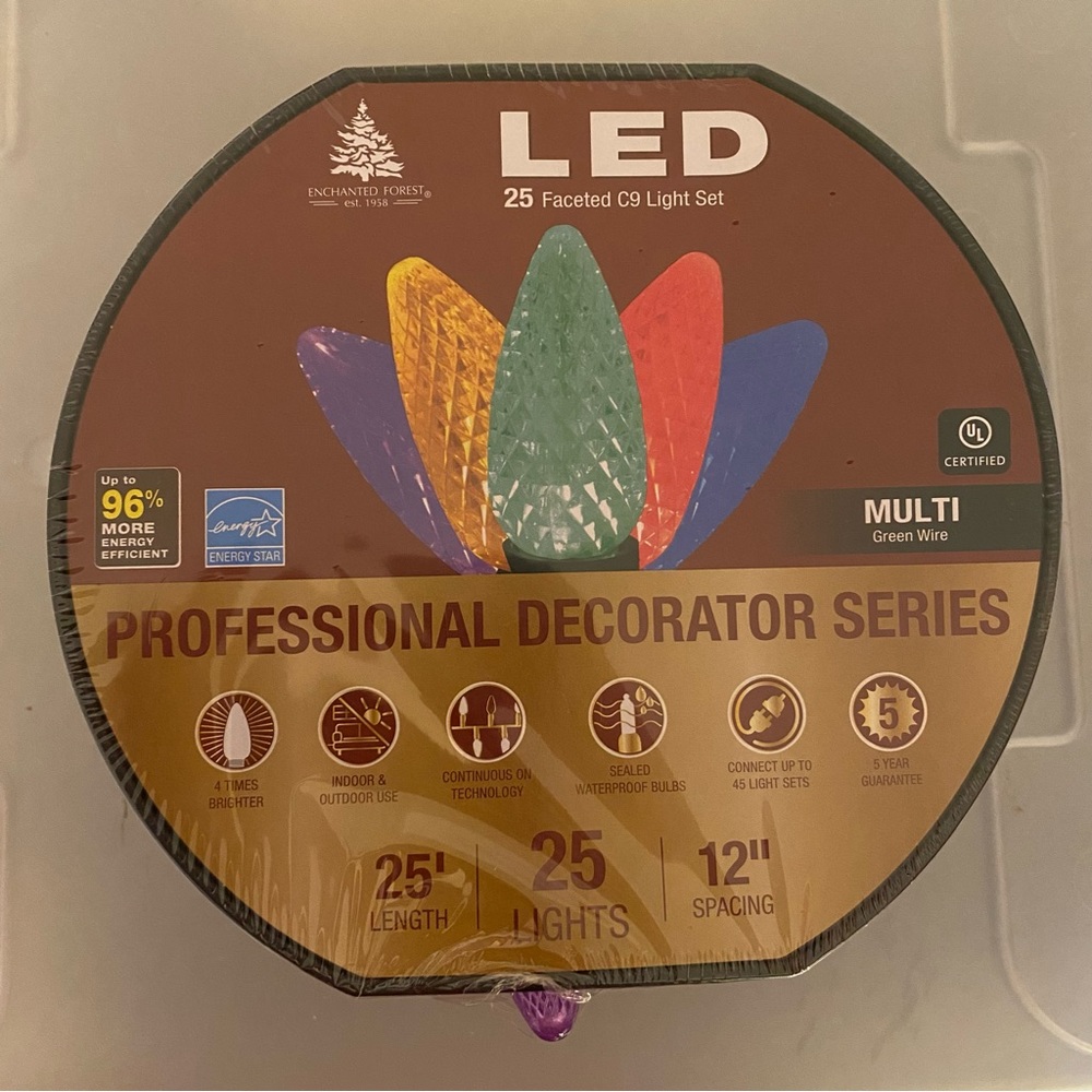 25ct LED Faceted Multi Color Christmas Lights C9